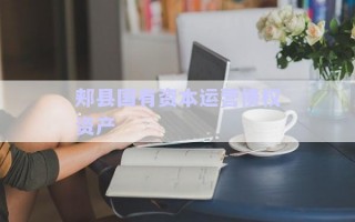 郟縣國有資本運營債權資產
