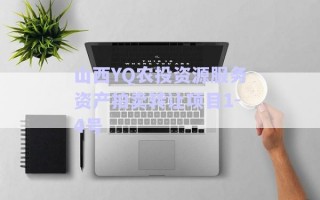 山西YQ農(nóng)投資源服務(wù)資產(chǎn)拍賣轉(zhuǎn)讓項(xiàng)目1-4號(hào)