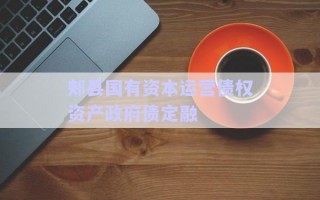 郟縣國有資本運營債權資產政府債定融