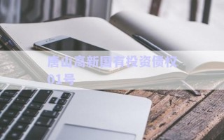 唐山高新國有投資債權(quán)01號 唐山高新國有投資債權(quán)01號