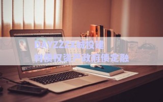 DAYZZZX城投建材債權資產(chǎn)政府債定融