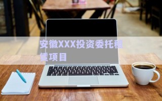 安徽XXX投資委托租賃項目 安徽XXX投資委托租賃項目