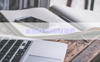 山東ZFKG債權(quán)資產(chǎn)