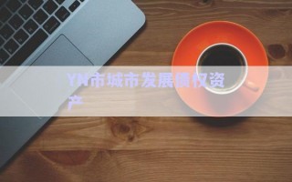 YN市城市發(fā)展債權(quán)資產(chǎn) YN市城市發(fā)展債權(quán)資產(chǎn)