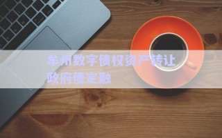 牟州數(shù)字債權(quán)資產(chǎn)轉(zhuǎn)讓政府債定融