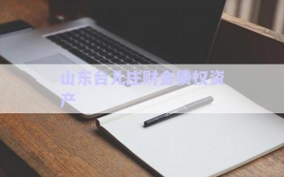 山東臺兒莊財(cái)金債權(quán)資產(chǎn) 山東臺兒莊財(cái)金債權(quán)資產(chǎn)