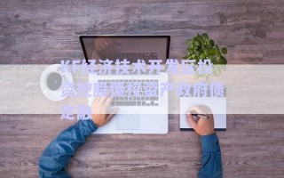KF經(jīng)濟技術開發(fā)區(qū)投資控股債權資產(chǎn)政府債定融