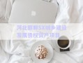 河北邯鄲SX城鄉(xiāng)建設(shè)發(fā)展債權(quán)資產(chǎn)項目