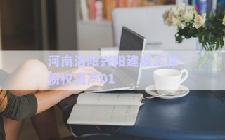 河南洛陽興陽建設(shè)工程債權(quán)資產(chǎn)01 河南洛陽興陽建設(shè)工程債權(quán)資產(chǎn)01