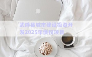 武陟縣城市建設投資開發(fā)2025年債權項目 武陟縣城市建設投資開發(fā)2025年債權項目