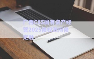 廣西CXS國(guó)有資產(chǎn)經(jīng)營(yíng)2025債權(quán)政府債定融