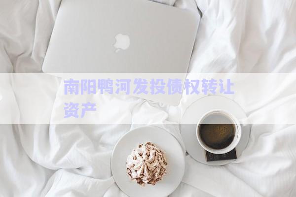 南陽鴨河發(fā)投債權轉讓資產-第1張圖片-政信固收網