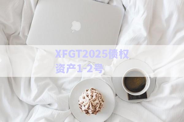 XFGT2025債權資產1-2號-第1張圖片-政信固收網(wǎng)