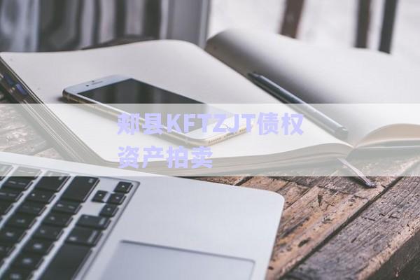郟縣KFTZJT債權(quán)資產(chǎn)拍賣(mài)-第1張圖片-政信固收網(wǎng)
